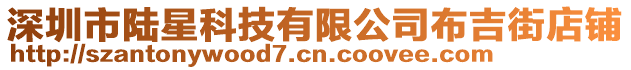 深圳市陸星科技有限公司布吉街店鋪