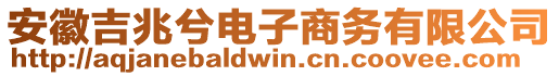 安徽吉兆兮電子商務(wù)有限公司