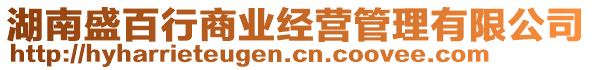 湖南盛百行商業(yè)經(jīng)營(yíng)管理有限公司