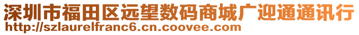 深圳市福田區(qū)遠(yuǎn)望數(shù)碼商城廣迎通通訊行