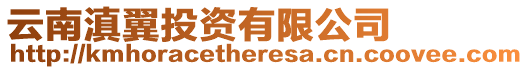 云南滇翼投資有限公司