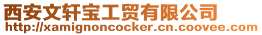 西安文軒寶工貿有限公司