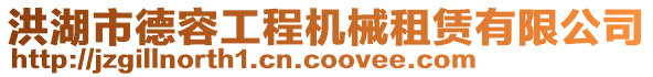 洪湖市德容工程機械租賃有限公司