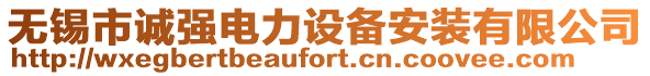 無錫市誠強(qiáng)電力設(shè)備安裝有限公司