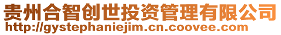 貴州合智創(chuàng)世投資管理有限公司