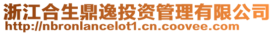 浙江合生鼎逸投資管理有限公司