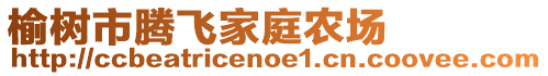 榆樹市騰飛家庭農(nóng)場