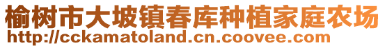 榆樹市大坡鎮(zhèn)春庫種植家庭農(nóng)場