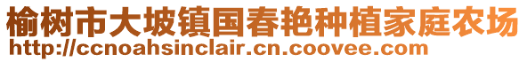 榆樹市大坡鎮(zhèn)國春艷種植家庭農(nóng)場