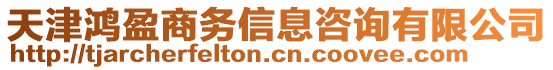 天津鴻盈商務信息咨詢有限公司