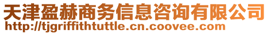 天津盈赫商務(wù)信息咨詢有限公司