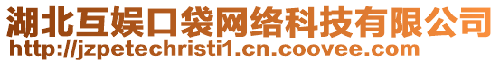 湖北互娛口袋網(wǎng)絡(luò)科技有限公司