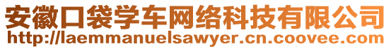 安徽口袋學(xué)車網(wǎng)絡(luò)科技有限公司