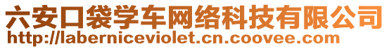 六安口袋學(xué)車網(wǎng)絡(luò)科技有限公司