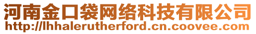 河南金口袋網絡科技有限公司