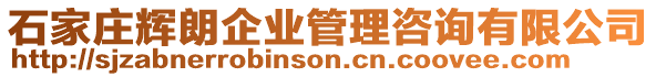 石家莊輝朗企業(yè)管理咨詢有限公司