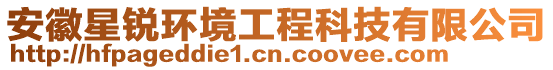 安徽星銳環(huán)境工程科技有限公司