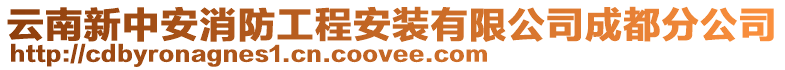 云南新中安消防工程安裝有限公司成都分公司