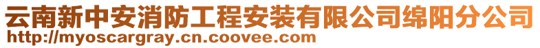 云南新中安消防工程安裝有限公司綿陽分公司