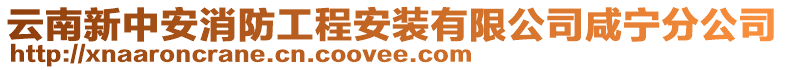 云南新中安消防工程安裝有限公司咸寧分公司