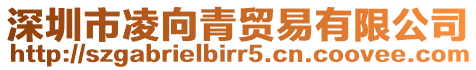 深圳市凌向青貿(mào)易有限公司