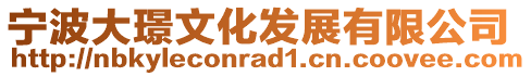寧波大璟文化發展有限公司