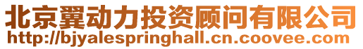 北京翼動力投資顧問有限公司