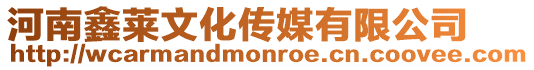 河南鑫萊文化傳媒有限公司