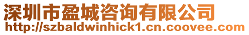 深圳市盈城咨詢有限公司