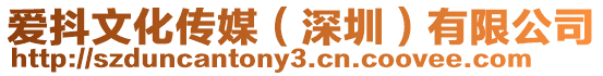 愛抖文化傳媒(深圳)有限公司