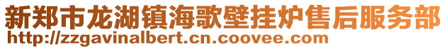 新鄭市龍湖鎮海歌壁掛爐售后服務部