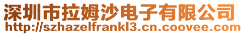 深圳市拉姆沙電子有限公司