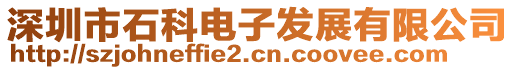 深圳市石科電子發展有限公司