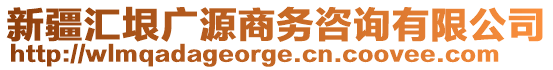 新疆匯垠廣源商務咨詢有限公司