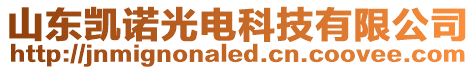 山東凱諾光電科技有限公司