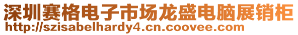 深圳賽格電子市場龍盛電腦展銷柜