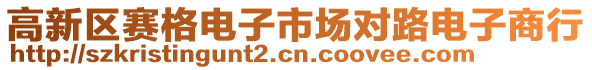 高新區(qū)賽格電子市場對路電子商行