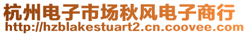 杭州電子市場秋風電子商行