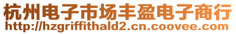 杭州電子市場豐盈電子商行