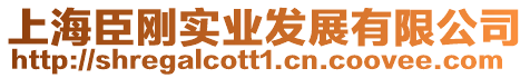 上海臣剛實業發展有限公司