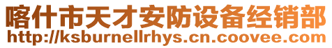 喀什市天才安防設備經銷部