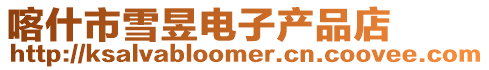 喀什市雪昱電子產品店