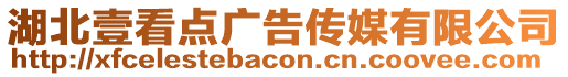 湖北壹看點廣告?zhèn)髅接邢薰? style=