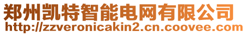 鄭州凱特智能電網(wǎng)有限公司