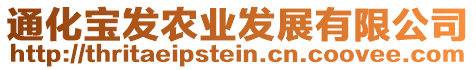 通化寶發(fā)農(nóng)業(yè)發(fā)展有限公司