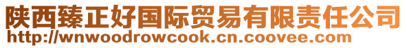 陜西臻正好國(guó)際貿(mào)易有限責(zé)任公司