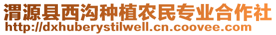 渭源縣西溝種植農民專業(yè)合作社