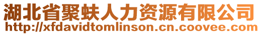 湖北省聚蚨人力資源有限公司