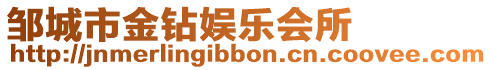 鄒城市金鉆娛樂會所