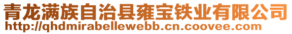 青龍滿族自治縣雍寶鐵業(yè)有限公司